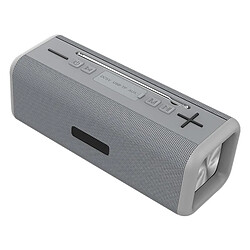 Yonis Enceinte Bluetooth 10W Stéréo 3D FM Portable