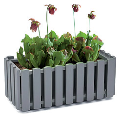 Avis Jardinière à suspendre balcon Pot de fleurs 58cm Marron Boardee Fencycase