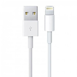 Câble de Charge et de Synchronisation Lightning Mâle à 8 Broches - USB A Mâle 1,0 m Blanc