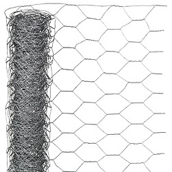 Nature Grillage métallique hexagonal 1 x 10 m 25 mm Acier galvanisé