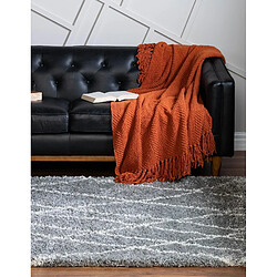 Acheter Hadorn Tapis shaggy 365x275 gris Lachen Fence