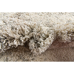 Hadorn Tapis shaggy 185x125 beige - brun Lachen Haze pas cher