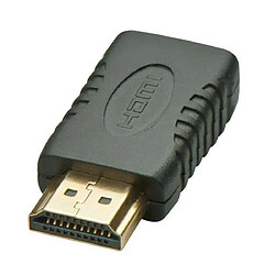 Kalea-Informatique Adaptateur Mini HDMI (= HDMI Type C) Femelle vers HDMI Mâle (= HDMI Type A)