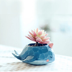 Wewoo Pot de fleur Belle Maison Jardin Bureau Résine de Bande Dessinée Animal Baleine En Forme de Plante Décoration Flower Pots Jardinière 