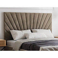 Lit coffre 160 x 200 cm - Velours - Taupe - RILIODA de Pascal Morabito pas cher