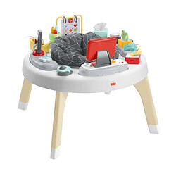 Centre d Activités Bébé Fisher Price