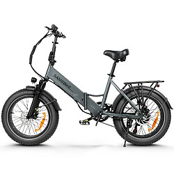 Vélo Électrique SAMEBIKE LOTDM200-II - Moteur 500W Batterie 48V13Ah Autonomie 40KM Freins à Disque Mécaniques - Gris