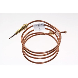 Bluesky THERMOCOUPLE DE FOUR