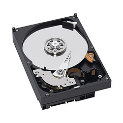 Acheter Disque Dur 320Go SATA II 3.5" Western Digital Caviar Blue WD3200AAKX-221CA0 16Mo · Occasion