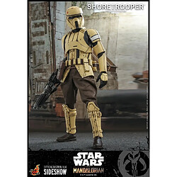 Acheter Hot Toys Star Wars : The Mandalorian - Shoretrooper Figure 1/6