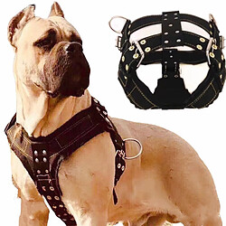 Acheter Universal Grosses cordes pour chiens, bulldogs, cordes pour chiens, turbans, grosses cordes pour chiens, gilets pour chiens, accessoires pour animaux de compagnie.