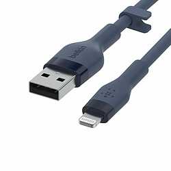 Acheter Câble USB vers Lightning Belkin CAA008BT3MBL Bleu 3 m