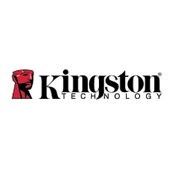 Kingston 16Go 2933MHz DDR4 ECC Reg CL21 16GB 2933MHz DDR4 ECC Reg CL21 DIMM 1Rx8 Micron E Rambus 