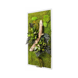 Flowerbox Tableau végétal stabilisé nature Rectangle 57 x 97 cm. Tableau végétal stabilisé nature Rectangle 57 x 97 cm