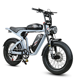 SAMEBIKE M20-II Vélo électrique - moteur 1200W double batterie 48V18AH*2 autonomie 110KM frein à disque hydraulique - Gris argent