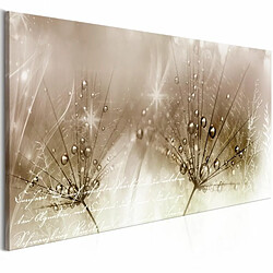 Paris Prix Tableau Imprimé Drops of Dew Brown Wide 45x100cm 