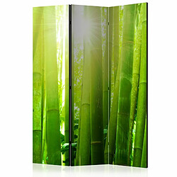 Paris Prix Paravent 3 Volets Sun & Bamboo 135x172cm 