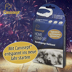 Canosept Home Comfort Collier apaisant pour Chien avec valériane et Lavande favorise Le Bien-être et la détente chez Les Chiens