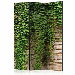 Paris Prix Paravent 3 Volets Ivy Wall 135x172cm