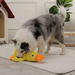 Avis 2024 NOUVEAU, Zentric Quack-Jouet pour chien Canard Charlatan, Zentric Peluche Jouet pour chien Squeaky Dog Chew Toys