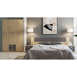 Avis Pegane Armoire, placard garde-robe 2 portes coloris puccini, graphite - Longueur 60 x Profondeur 37,80 x Hauteur 208 cm