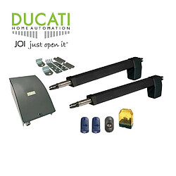 HC812-300 Automatisme Kit Motorisation - DUCATI HOME-AUTOMATION - Automatisme de Portail - Longueur de Course 300MM - 2 Vantaux - 250KG