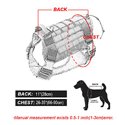 Equipement de transport pour chien