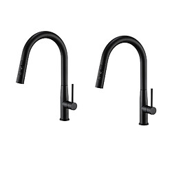 Auralum MAX 2PCS AURALUMMAX Mitigeur Cuisine,Robinet d'Évier Inox avec Douchette Extractible,2 Modes Jets Eau Froide/Chaude Rotatif 360 degré,Bec en Forme U,Noir 