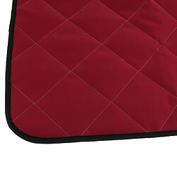 Couverture de tapis imperméable pour animaux domestiques