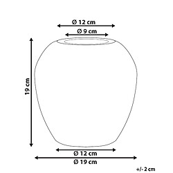 Avis Beliani Vase à fleurs MILETOS fait à la main Céramique 19 cm Blanc