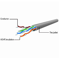 Avis Câble gris Gembird UTP Cat6 0,5 m.