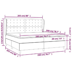 Acheter vidaXL Sommier à lattes de lit et matelas Noir 200x200 cm Velours