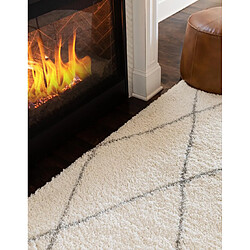 Avis Hadorn Tapis shaggy 275x185 blanc crème Lachen Fence