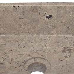 Acheter vidaXL Lavabo Gris 30x30x13 cm Marbre