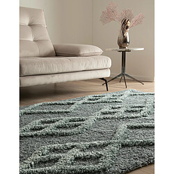 Avis Hadorn Tapis shaggy 245x160 Bleu Thun Tribus