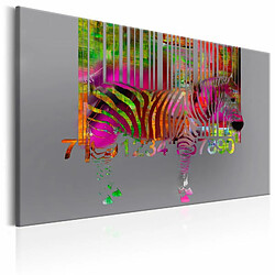 Paris Prix Tableau Imprimé Code of Zebra 40x60cm 