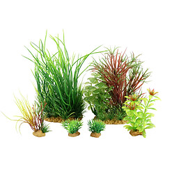 Tetra Kit de 6 plantes Plantkit Jalaya. Kit de 6 plantes Plantkit Jalaya