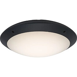 Brilliant (Lighting) MEDWAY Applique extérieure LED intégrée 12W anthracite