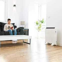 Cecotec Radiateur émetteur thermique avec 6 éléments et thermostat WIFI 900W noir blanc