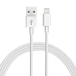 Platyne Cable Usb Vers Lightning 1 Metre