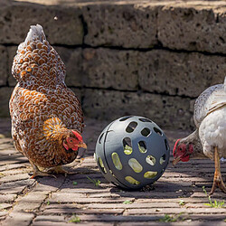 Greenlife Balle à friandises pour poules 15 cm.