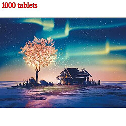 Universal Puzzle 1000 pièces pour adultes et enfants Puzzle, Aurora Puzzle Jeux intellectuels éducatifs Difficultés et 