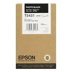 Epson T543 Cartouche Noir C13T54310010 (T5431)