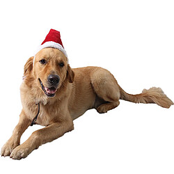 Adorable chat chien chat Noël chapeau de noël pour animaux de compagnie costume de noël outfit l