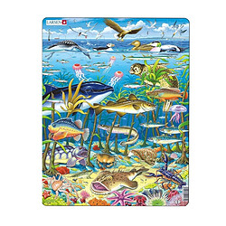 Larsen- Puzzle encadré Les Animaux Marins 60 pièces, FH13 