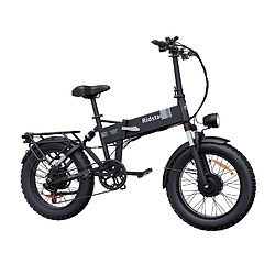 Vélo Électrique Ridstar H20 Pro - Dual Moteurs 500W*2 Batterie 48V23Ah Pneus 20" Frein à Disque d'huile Hydraulique - Noir