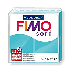 Ferry FIMO Boîte 6 Pieces Fimo Soft Menthe N°39