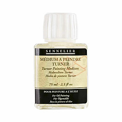 Raphael Medium à peindre Turner 75 ml 