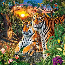 Puzzle 2000 pieces Family of tigers