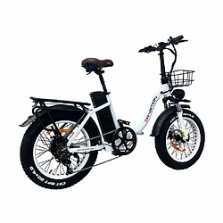 Avis Vélo Électrique DrveTion CT20 - 20*4.0 Pouces Moteur 750W Batterie 48V20Ah Autonomie 60-90KM - Blanc Perle